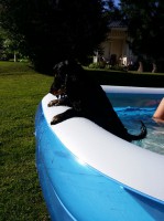 /album/luca/a11713516-10206957286828916-2001342890-n-1-jpg/